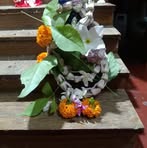 Ketaki Chakraborty - Facebook Profile Picture of Ketaki Chakraborty (@ketaki.chakraborty.71) on Facebook