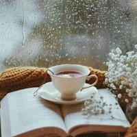 Profile Picture of Stacy Hudson (@stacy-hudson-31) on Quora