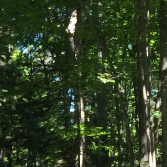 Ly Ngov - Poshmark Profile Picture of Ly Ngov (@chheng09) on Poshmark