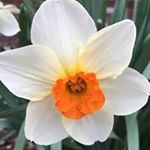 Profile Picture of Debbie Cole Eck (@debbieeck) on Instagram