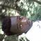 Profile Picture of Kevin Komen (@kevin.komen.50) on Facebook