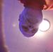 Profile Picture of Douglas Wittner (@douglas.wittner.9) on Facebook