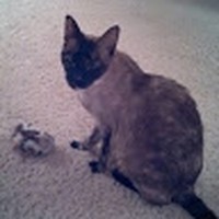 Profile Picture of Shawn Zack (@shawn-zack-1) on Quora