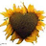 Profile Picture of David Richens (@laveyou) on Flickr