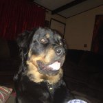 Profile Picture of Larry Lorenzo (@lorenzo7even) on Instagram