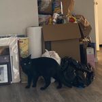 Profile Picture of Tristan Clark (@tristancark) on Instagram