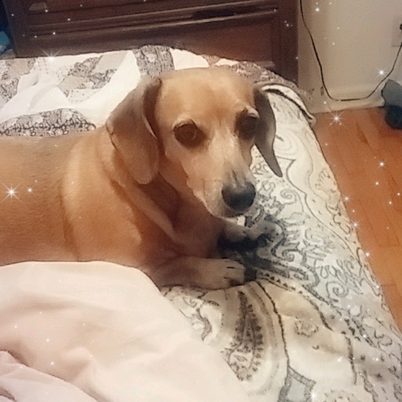 Profile Picture of Lee Pruner (@luvs2shop92) on Poshmark