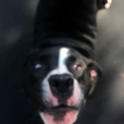 💞Aspen💞 - Tiktok Profile Picture of 💞Aspen💞 (@aspenkisses) on Tiktok