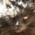 Profile Picture of Steve Fossum (@fosnel) on Pinterest