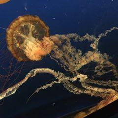 Profile Picture of Daren Scott (@darenscott20) on Tiktok