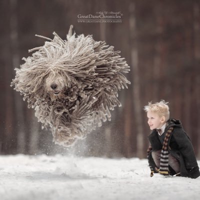 Profile Picture of Essential Consultant (@jasonfulmore) on Twitter