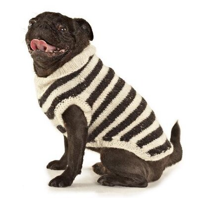 Profile Picture of Amy Spiegel (@spiegelamy) on Twitter