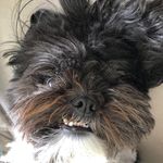 Profile Picture of Christopher Michaelson (@stoferites) on Instagram