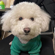 IENG - Youtube Profile Picture of IENG (@IENG_) on Youtube