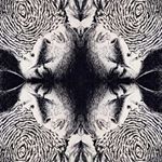 Profile Picture of Chris Wu (@christohwu) on Instagram