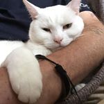 Profile Picture of Geoffrey Herbert (@geoffrey.herbert.73997) on Instagram