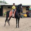 Profile Picture of Jaydev Patel53 (@@jaydevpatel01) on Tiktok