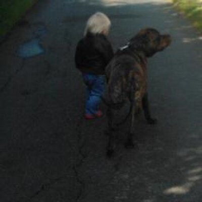 Profile Picture of Doug Dial A Dog Wash (@DogDoos) on Twitter