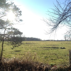 Profile Picture of Merrit (@magmag2292) on Myspace