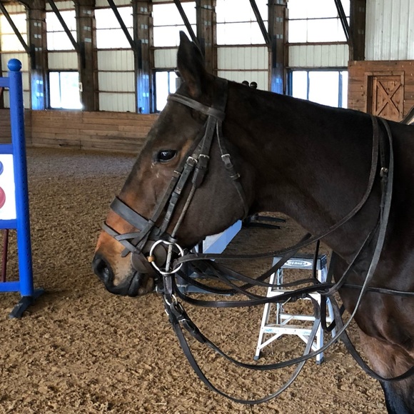 Profile Picture of Yiming Xing (@yxyxyxyx) on Poshmark