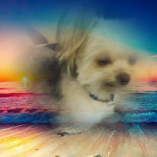 Profile Picture of Tammy Gabbard (@tammy.gabbard1) on Facebook