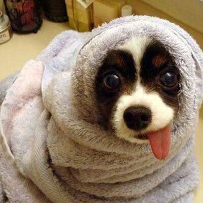 Mark Hamburg - Twitter Profile Picture of Mark Hamburg (@mphamburg07) on Twitter