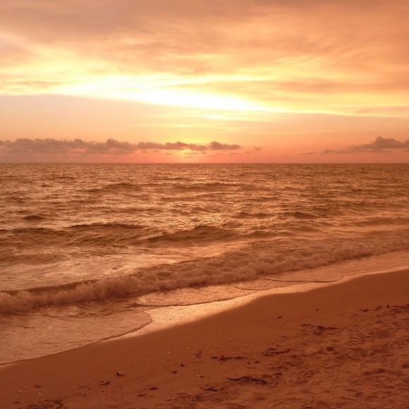 Profile Picture of Alexander Mariño (@amarino27) on Poshmark