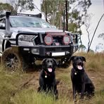 Profile Picture of Joshua Devine (@Joshua-Devine) on Facebook