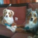 Profile Picture of Joseph Falardeau (@thebest2) on Pinterest