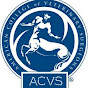 Profile Picture of American College of Veterinary Surgeons (@ACVS) on Tiktok