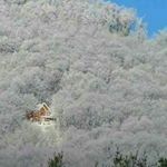 Profile Picture of aggoun amina (@amina_aggoun) on Instagram