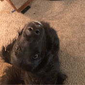 Profile Picture of James Grace (@jamesgrace3068) on Youtube