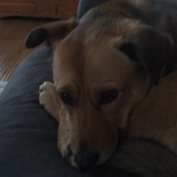 Profile Picture of Darryl Fineout (@darfin1) on Poshmark