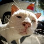 Profile Picture of TANG GA YI (@claratang_) on Instagram