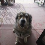 Profile Picture of Andre Gutierrez (@andregutie123) on Instagram