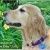 Profile Picture of Lynette Baumann (@lynbaumann) on Pinterest