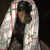 Profile Picture of Jessieloo (@jessieloo499) on Tiktok