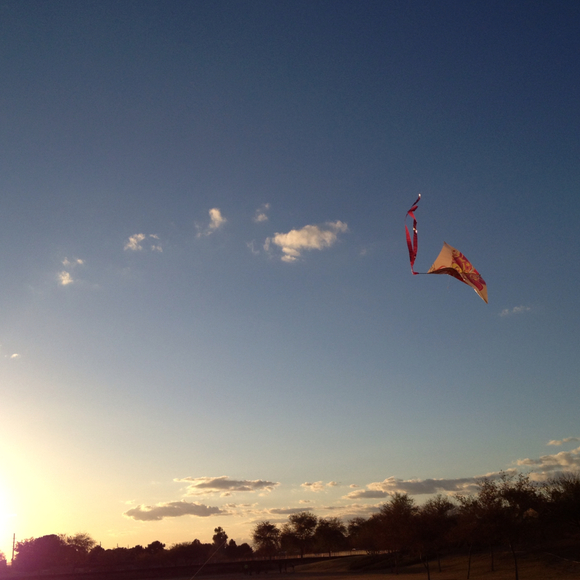 Pamela Wodrich - Poshmark Profile Picture of Pamela Wodrich (@azinsurancelady) on Poshmark