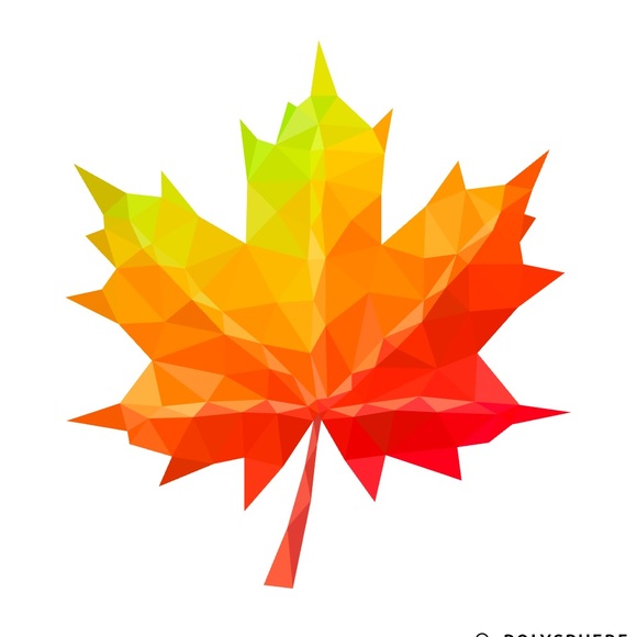 Profile Picture of Lily Ferguson (@tigerlily693) on Poshmark