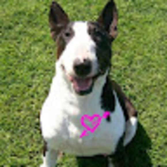 Profile Picture of Maria Bortters (@goldiesbt) on Poshmark