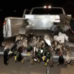 Profile Picture of Richard Hawk (@Richard-Hawk) on Facebook