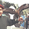 Profile Picture of Asim (@asimofpak) on Flickr