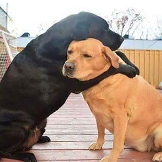 Profile Picture of Joseph Negro (@joseph.negro.338) on Facebook