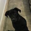 Profile Picture of Natalie Gammon (@@nataliegammon) on Tiktok