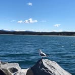 Profile Picture of Sijia Li (@sijia.li.1401) on Facebook