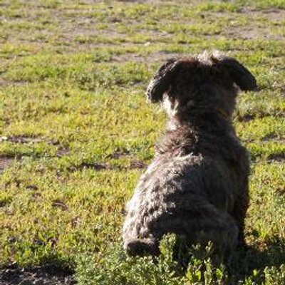 Profile Picture of Adeline Jean Dauer (@AdelineDauer484) on Twitter