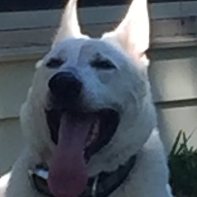 Profile Picture of Christopher Gaffney (@CuriousChris7) on Twitter