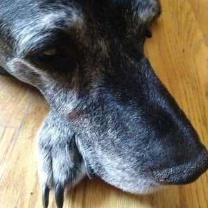 Profile Picture of Dave West (@DaveWes70759013) on Twitter