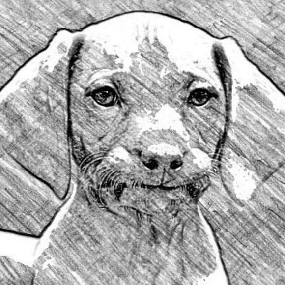 Profile Picture of Bj Scott (@bjs88fan) on Poshmark