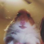 Profile Picture of joel/bryan (@rmz_mp4) on Instagram